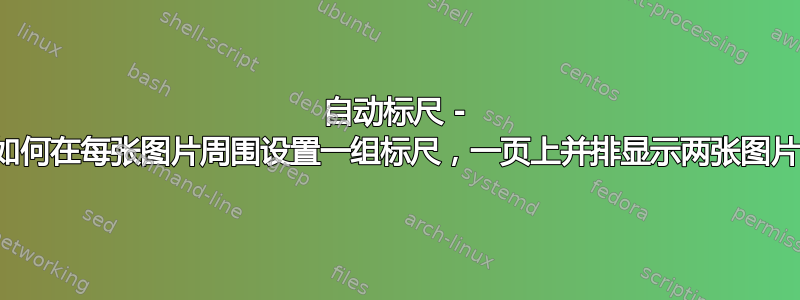 自动标尺 - 如何在每张图片周围设置一组标尺，一页上并排显示两张图片