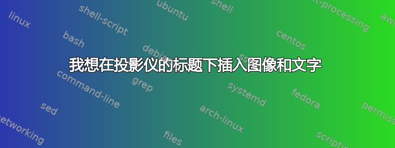 我想在投影仪的标题下插入图像和文字