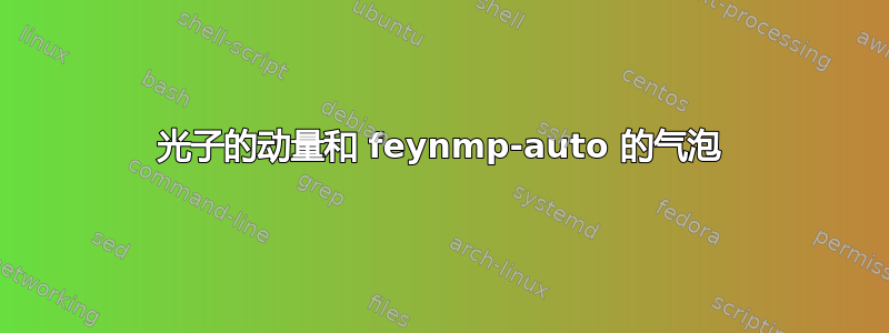 光子的动量和 feynmp-auto 的气泡