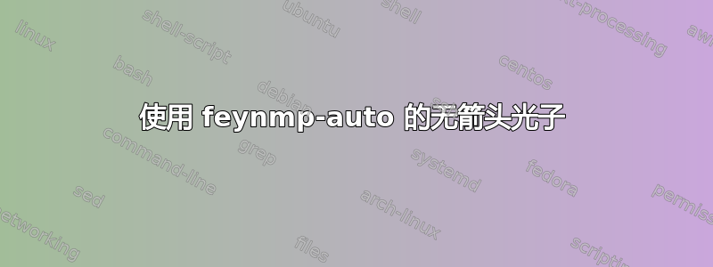 使用 feynmp-auto 的无箭头光子