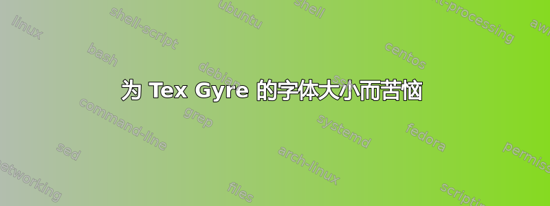 为 Tex Gyre 的字体大小而苦恼