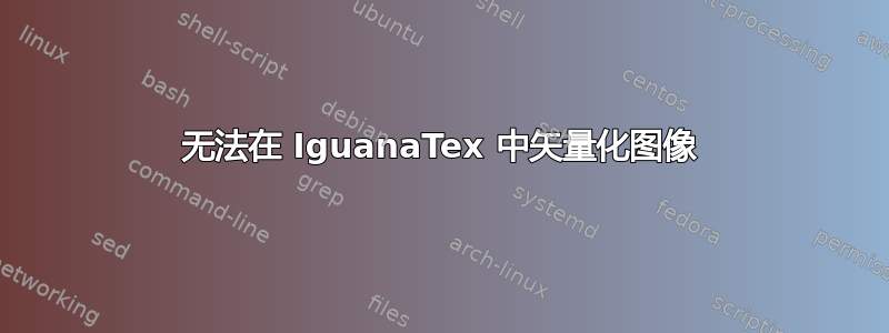 无法在 IguanaTex 中矢量化图像