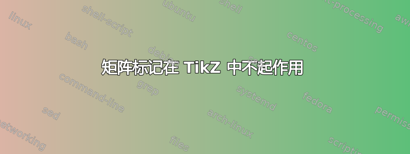 矩阵标记在 TikZ 中不起作用