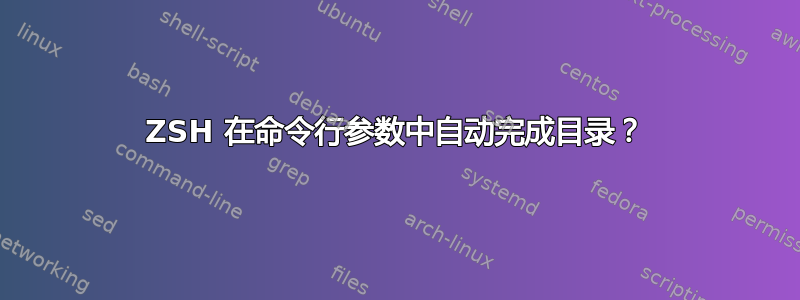 ZSH 在命令行参数中自动完成目录？