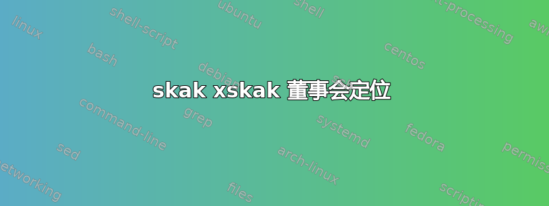 skak xskak 董事会定位