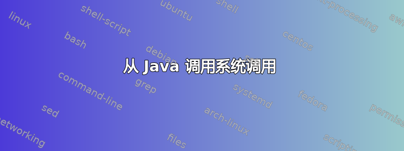 从 Java 调用系统调用