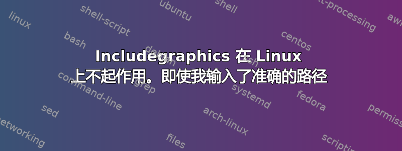 Includegraphics 在 Linux 上不起作用。即使我输入了准确的路径