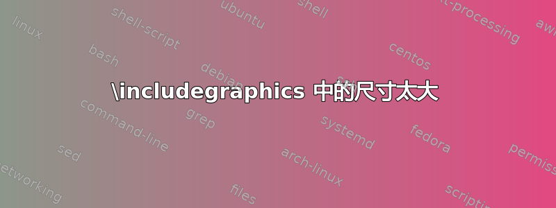 \includegraphics 中的尺寸太大