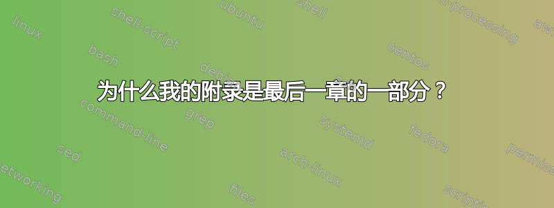 为什么我的附录是最后一章的一部分？