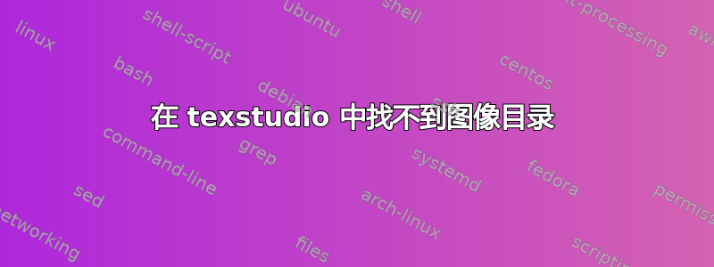 在 texstudio 中找不到图像目录