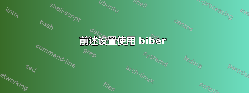 前述设置使用 biber