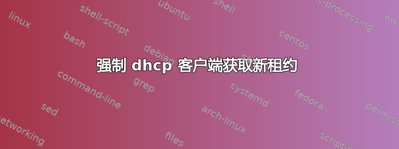 强制 dhcp 客户端获取新租约