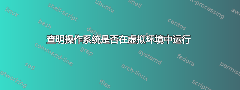 查明操作系统是否在虚拟环境中运行