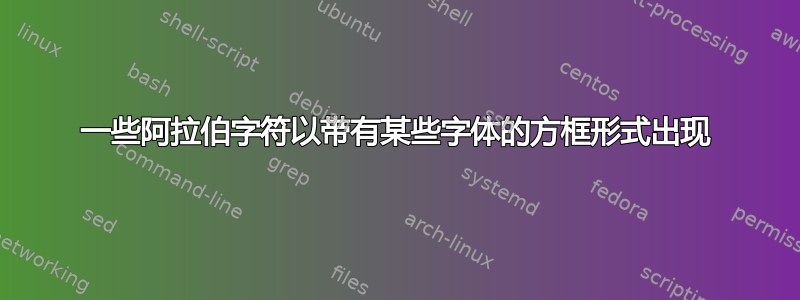 一些阿拉伯字符以带有某些字体的方框形式出现