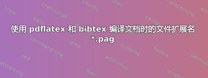 使用 pdflatex 和 bibtex 编译文档时的文件扩展名 *.pag