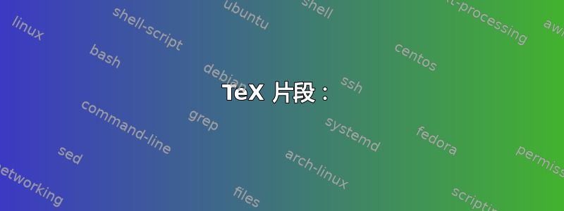 TeX 片段：