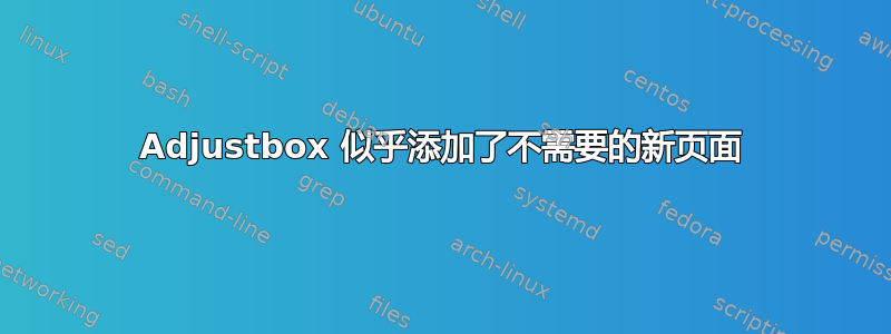 Adjustbox 似乎添加了不需要的新页面