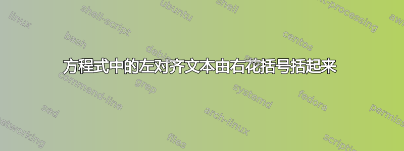 方程式中的左对齐文本由右花括号括起来