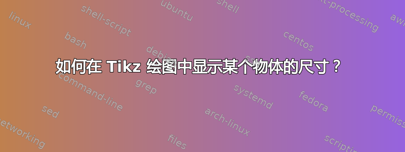 如何在 Tikz 绘图中显示某个物体的尺寸？