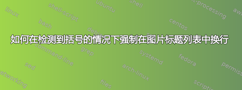 如何在检测到括号的情况下强制在图片标题列表中换行