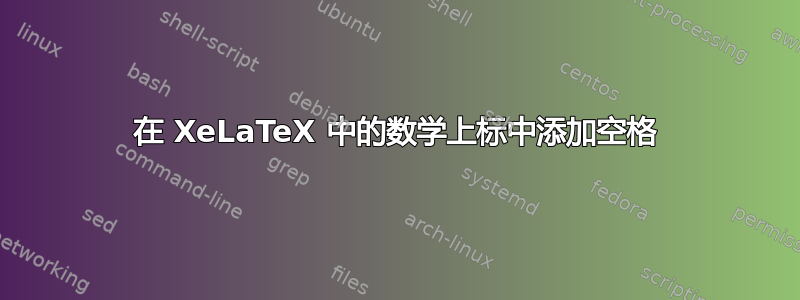 在 XeLaTeX 中的数学上标中添加空格