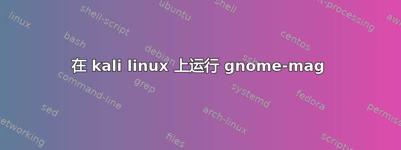 在 kali linux 上运行 gnome-mag