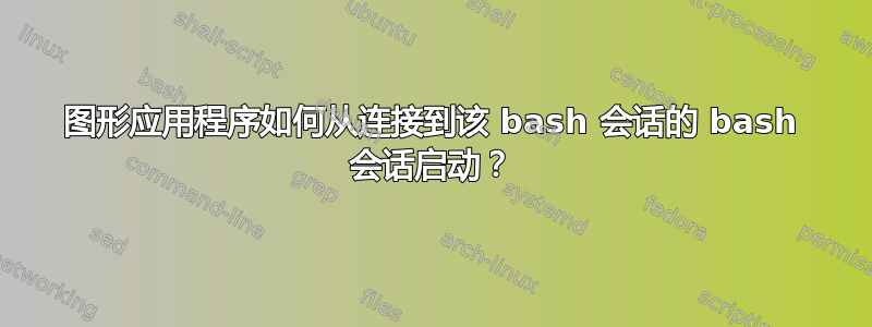 图形应用程序如何从连接到该 bash 会话的 bash 会话启动？