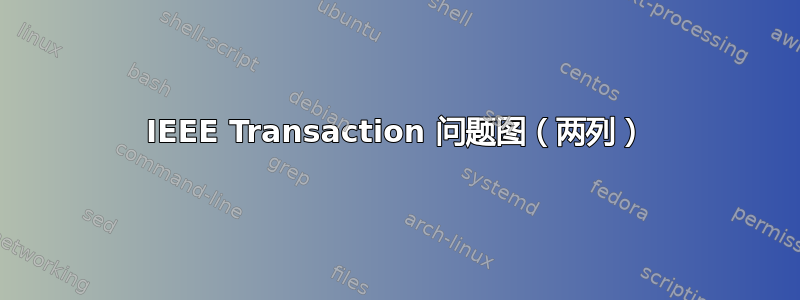 IEEE Transaction 问题图（两列）