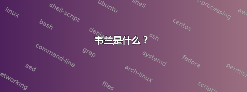 韦兰是什么？