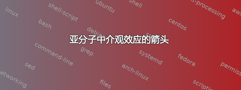 亚分​​子中介观效应的箭头