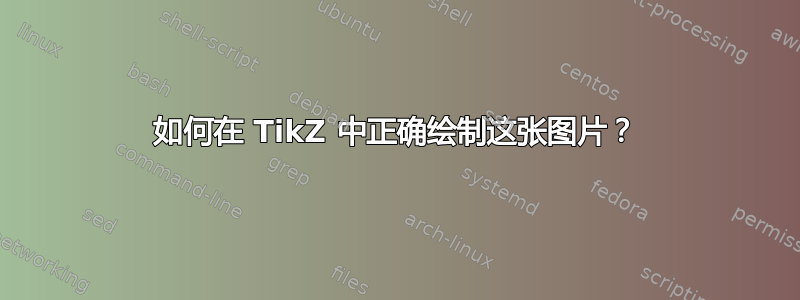 如何在 TikZ 中正确绘制这张图片？