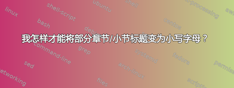 我怎样才能将部分章节/小节标题变为小写字母？