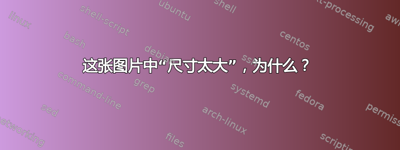 这张图片中“尺寸太大”，为什么？