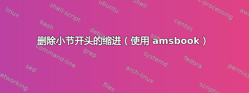 删除小节开头的缩进（使用 amsbook）