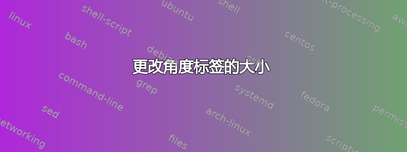 更改角度标签的大小