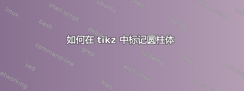 如何在 tikz 中标记圆柱体