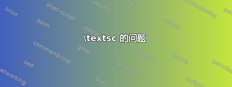 \textsc 的问题