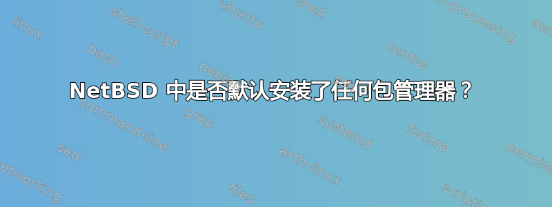 NetBSD 中是否默认安装了任何包管理器？