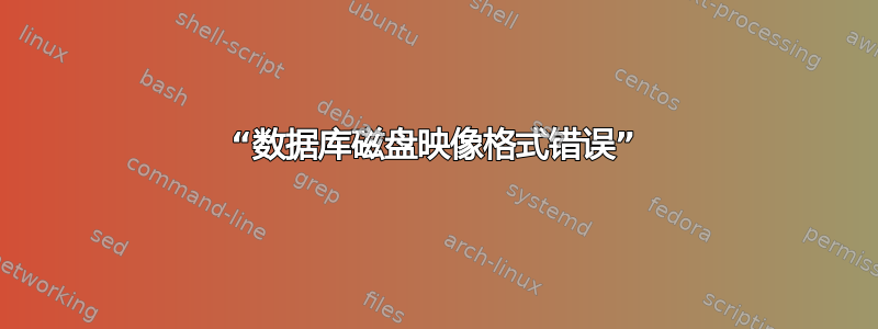 “数据库磁盘映像格式错误”