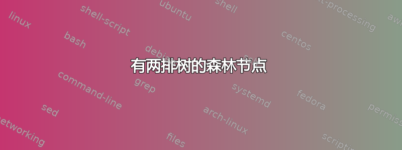 有两排树的森林节点