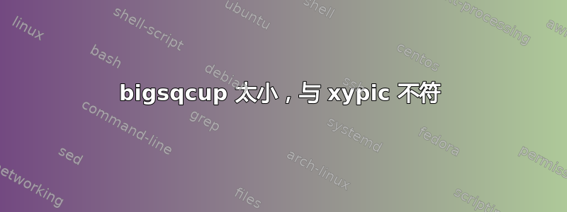 bigsqcup 太小，与 xypic 不符