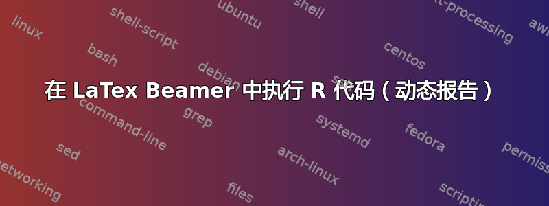 在 LaTex Beamer 中执行 R 代码（动态报告）