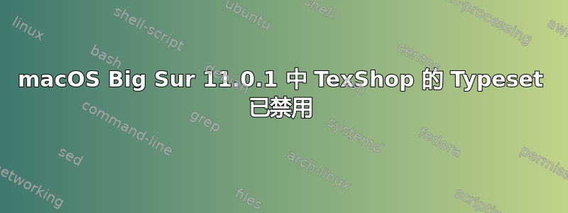 macOS Big Sur 11.0.1 中 TexShop 的 Typeset 已禁用