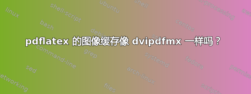 pdflatex 的图像缓存像 dvipdfmx 一样吗？