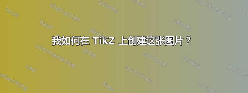 我如何在 TikZ 上创建这张图片？