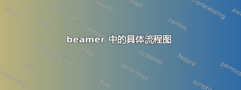 beamer 中的具体流程图