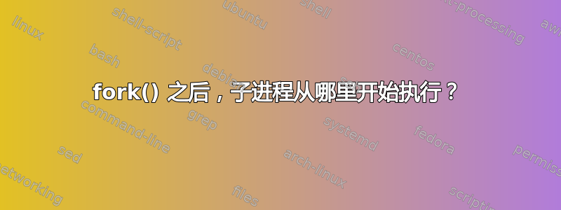 fork() 之后，子进程从哪里开始执行？