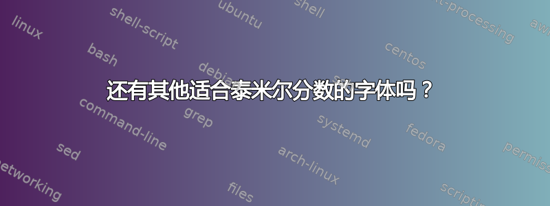 还有其他适合泰米尔分数的字体吗？