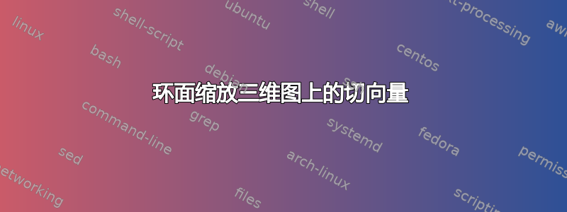 环面缩放三维图上的切向量