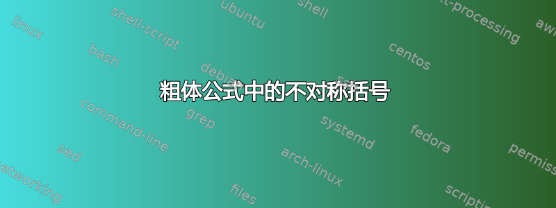 粗体公式中的不对称括号